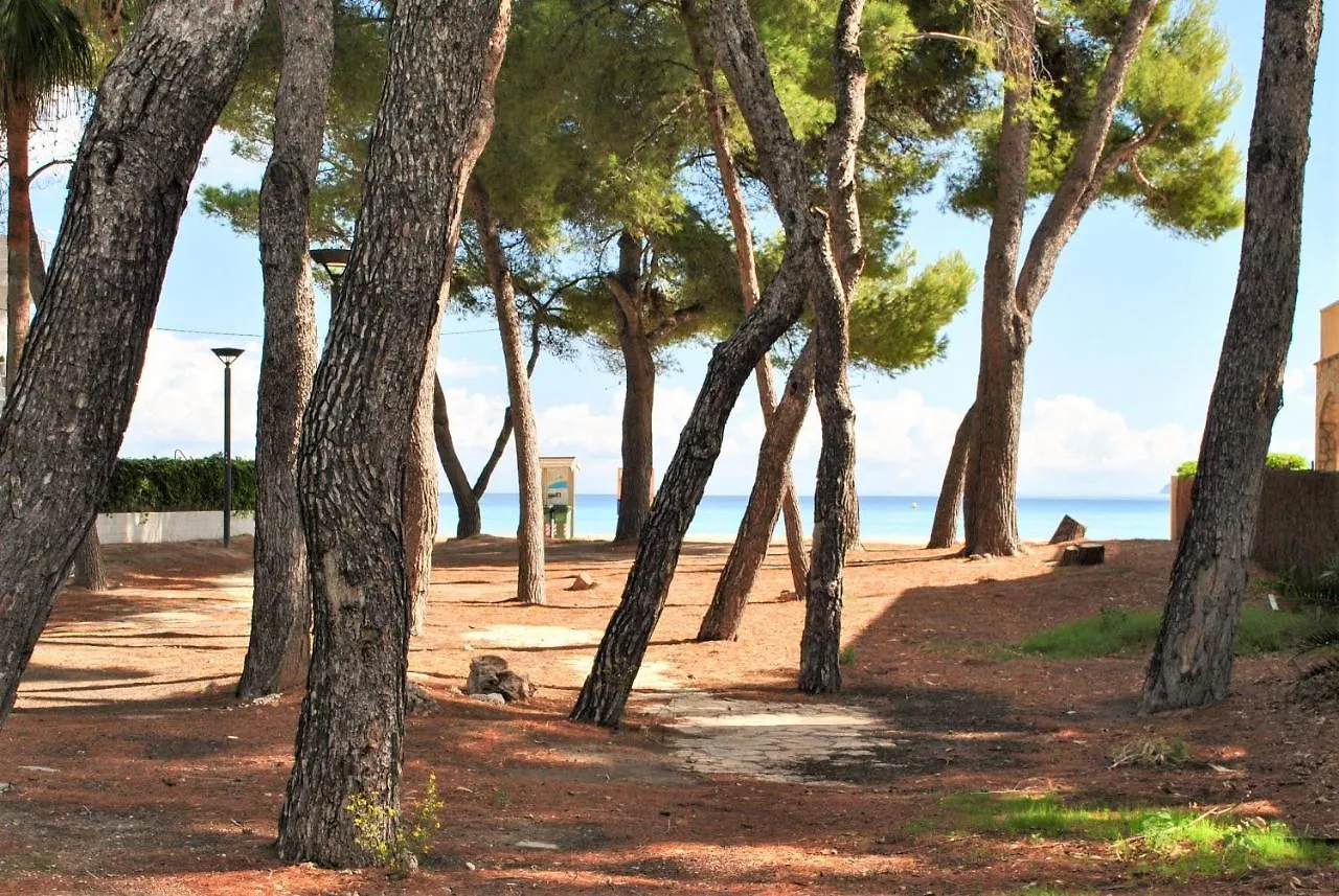Es Baladre Beach Port d'Alcúdia 0*,
